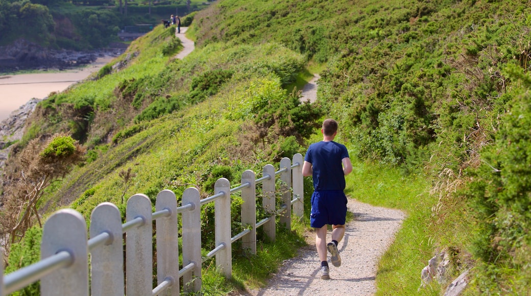 Caswell Bay Beach