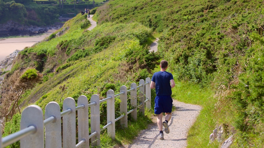 Spiaggia di Caswell Bay caratteristiche di escursioni o camminate cosi come ragazzo