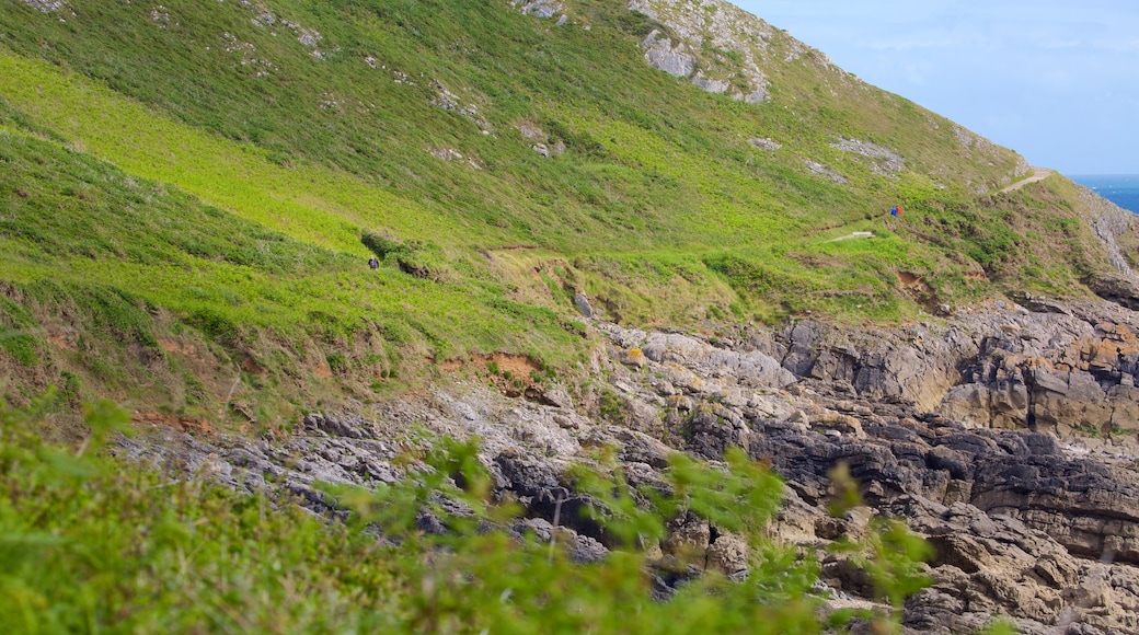 Caswell Bay Beach which includes tranquil scenes