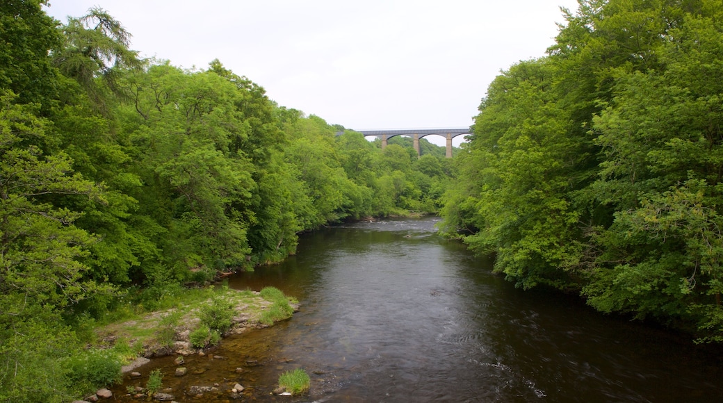 Pontcysyllte Aquaduct featuring a river or creek and forests