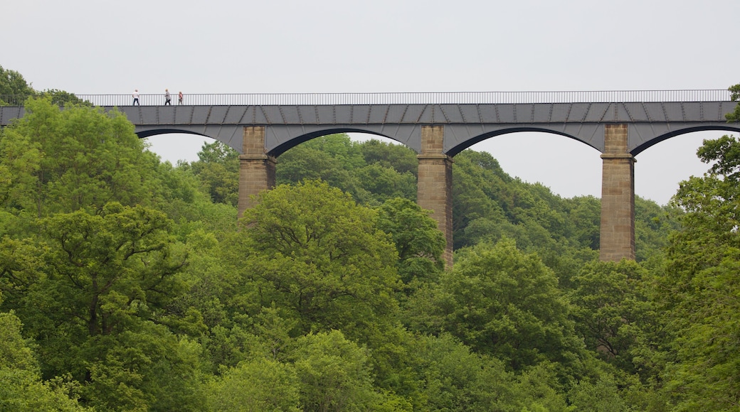 Pontcysyllte Aquaduct which includes forest scenes and a bridge