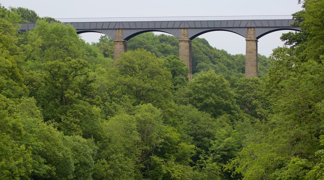 Pontcysyllte Aquaduct showing forests and a bridge