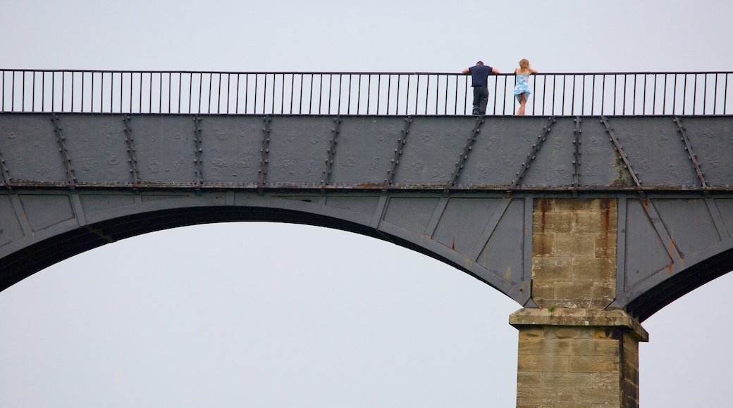 Pontcysyllte Aquaduct featuring a bridge as well as a couple