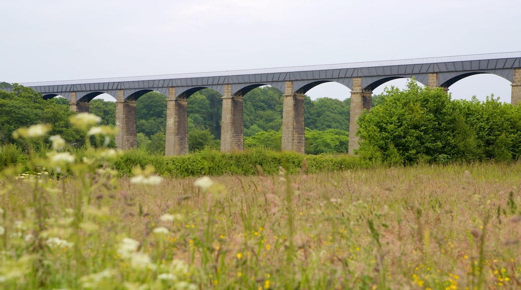 Pontcysyllte Aquaduct แสดง ฟาร์ม และ สะพาน