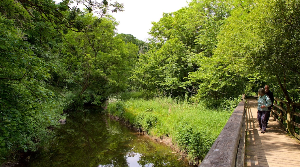 Llangefni inclusief bos, een rivier of beek en hiken of wandelen