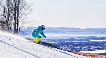 Parque de invierno Oslo Vinterpark ofreciendo nieve y esquí y también un hombre