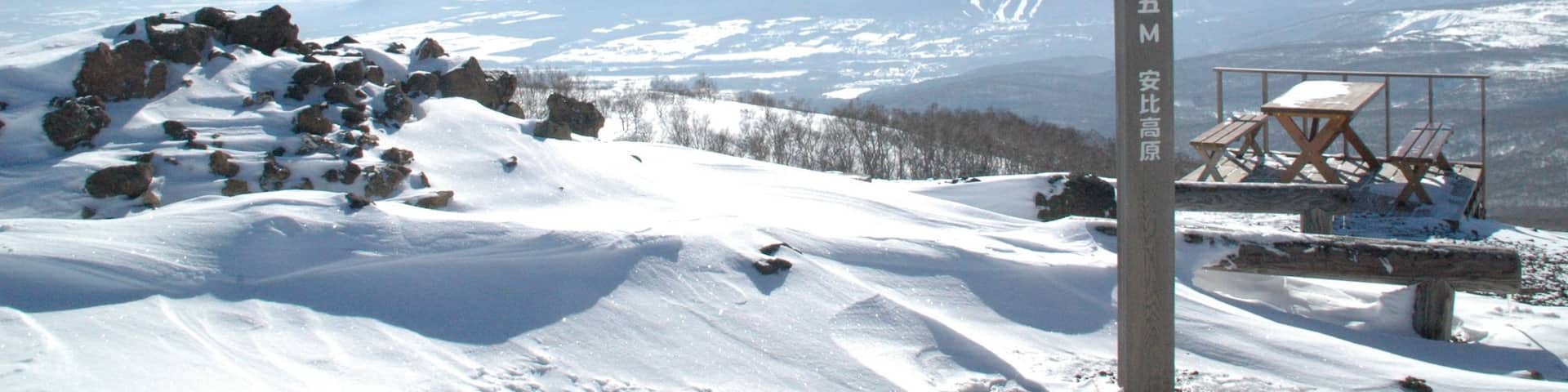 Appi Kogen Ski Resort featuring mountains and snow
