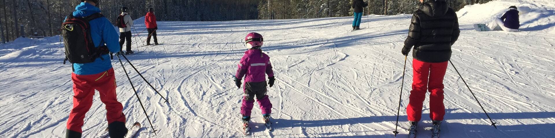 Kungsberget Ski Resort showing snow skiing, snow and forest scenes