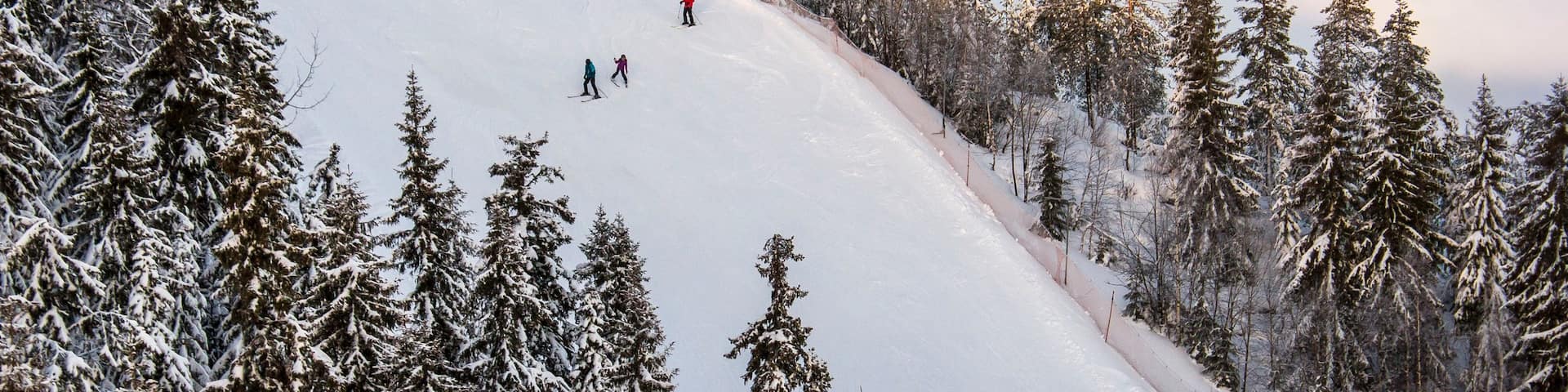 Branas Ski Resort montrant neige, forĂȘts et brume ou brouillard