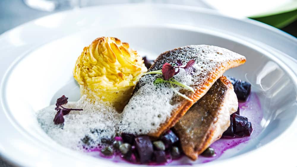 Bjorkliden Fjallby Ski Resort which includes food