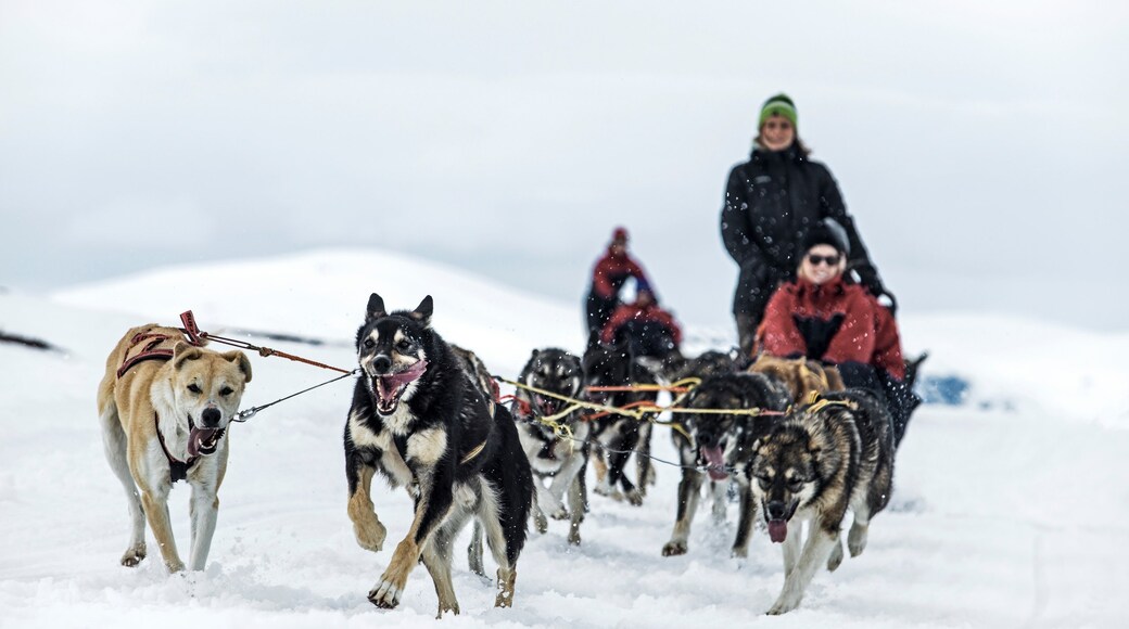 Photo provided by Lapland Resorts AB