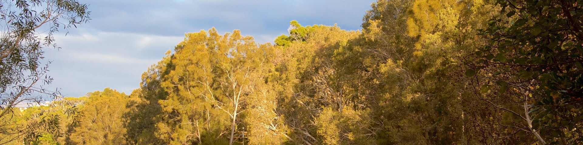 Currumbin, Gold Coast, Queensland, Ástralía