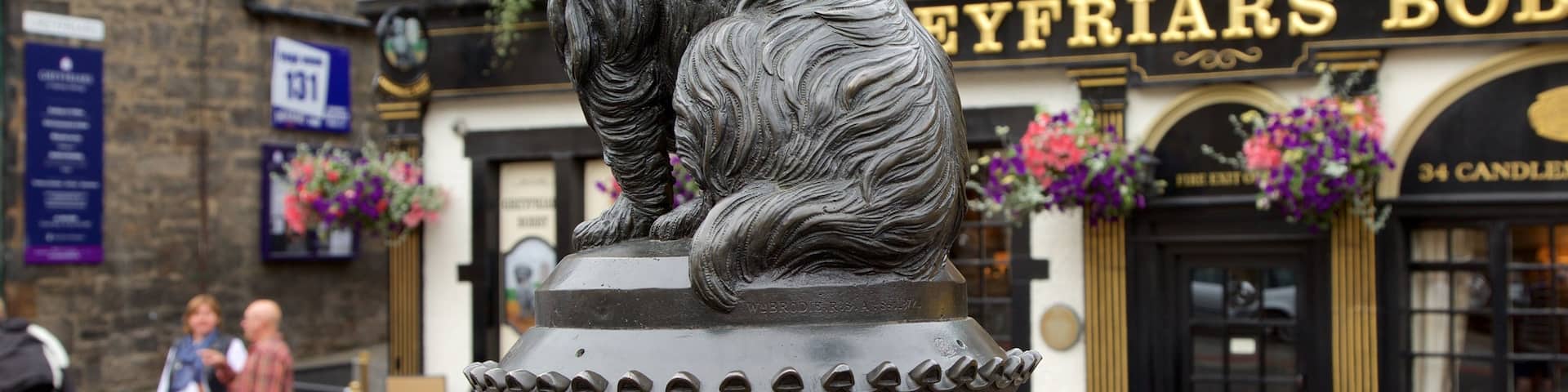 Greyfriar\'s Bobby which includes outdoor art and street scenes