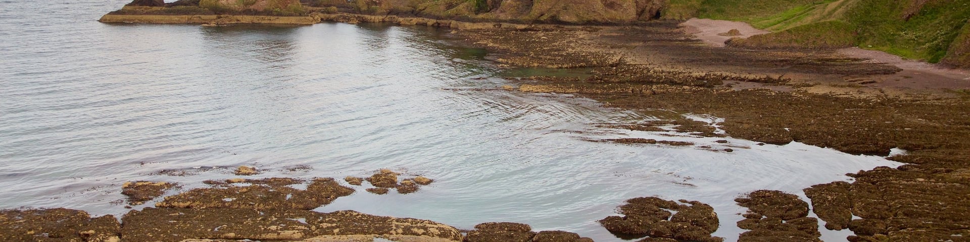 Dunnottar Castle featuring rocky coastline