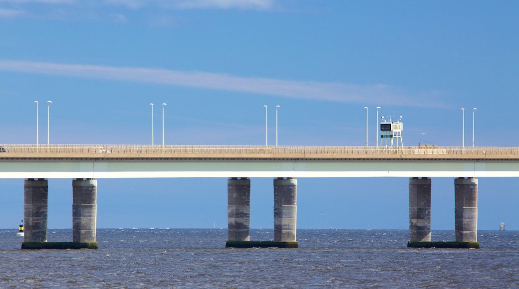 Dundee mostrando vista della costa e ponte