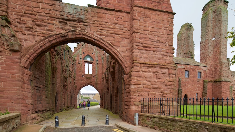 Arbroath Abbey featuring a ruin and heritage elements