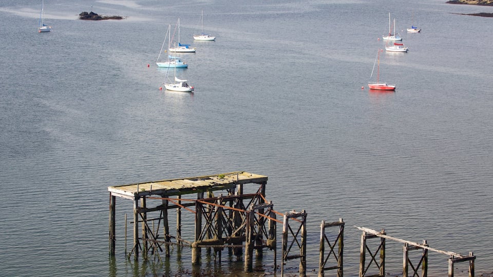 Aberdour showing sailing and general coastal views