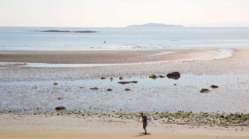 Silver Sands Beach showing a sandy beach