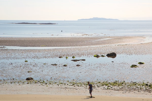 Silver Sands Beach som visar en sandstrand