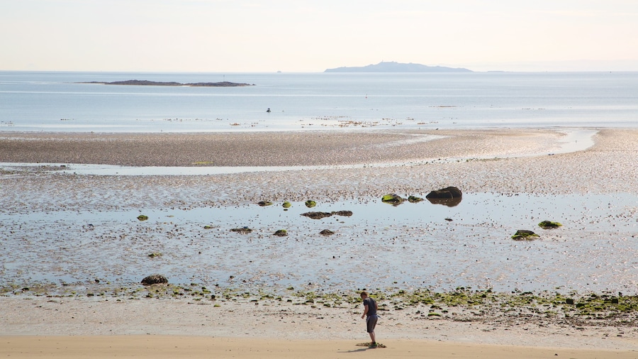 Silver Sands Beach which includes a beach