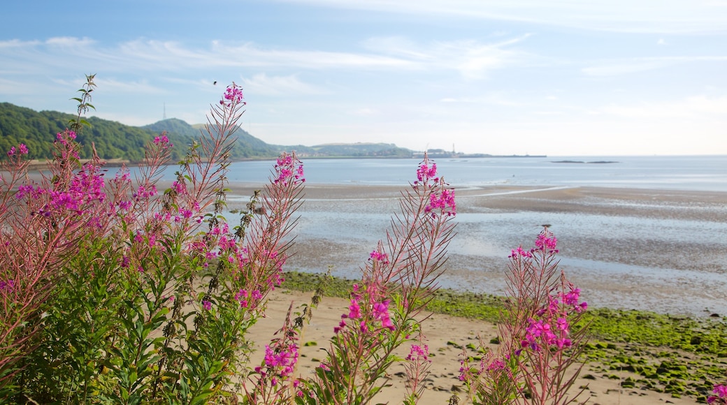 Silver Sands Beach som inkluderar kustutsikter och blommor