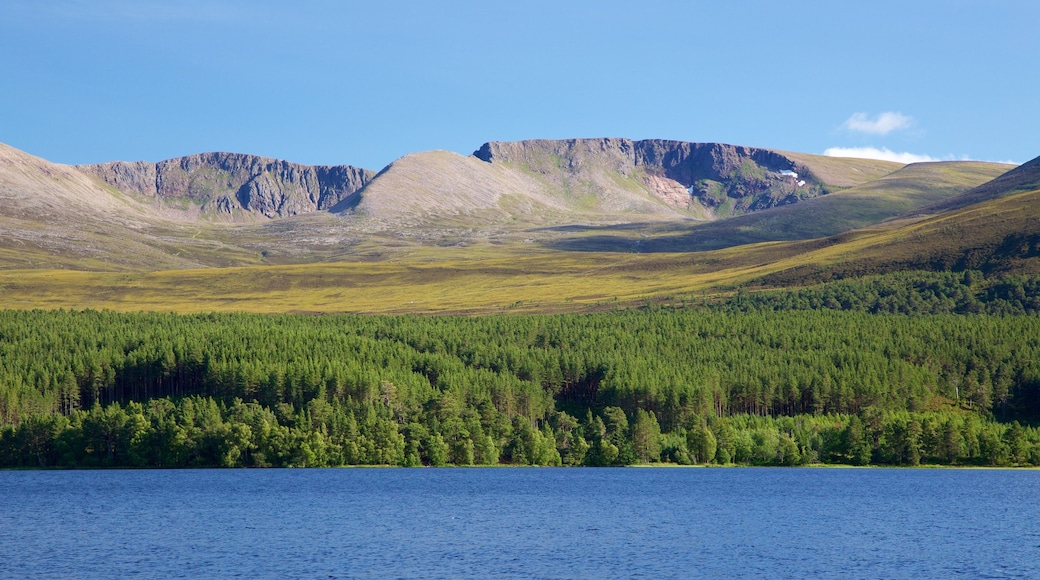 Loch Morlich montrant riviĂšre ou ruisseau, montagnes et forĂȘts