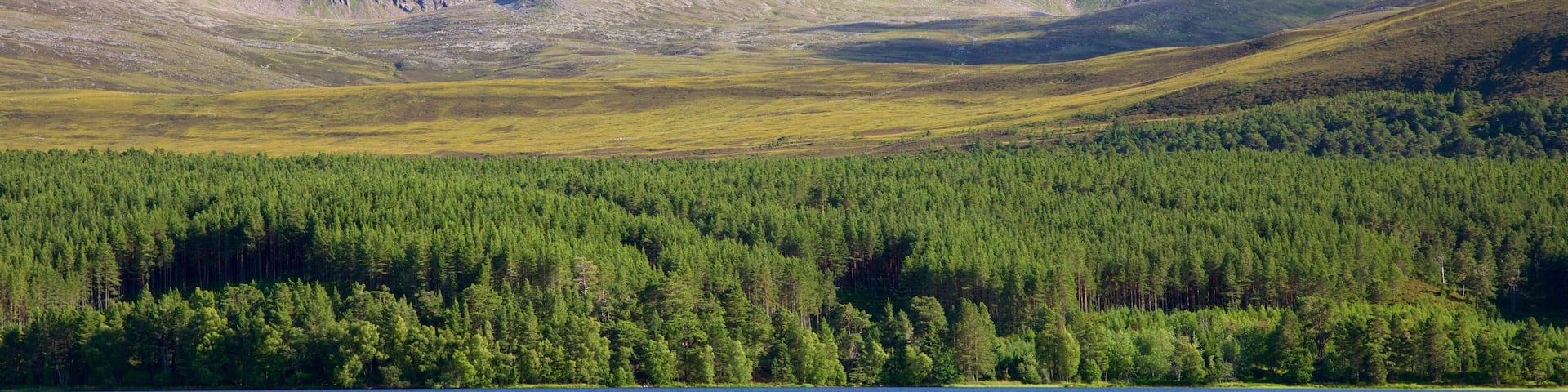 Loch Morlich mit einem Fluss oder Bach, Berge und WĂ€lder