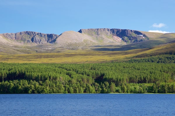 Loch Morlich mit einem Fluss oder Bach, Berge und WĂ€lder