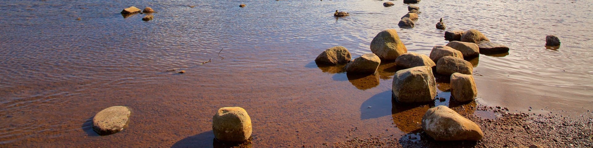 Loch Morlich que incluye una playa de guijarros y un río o arroyo