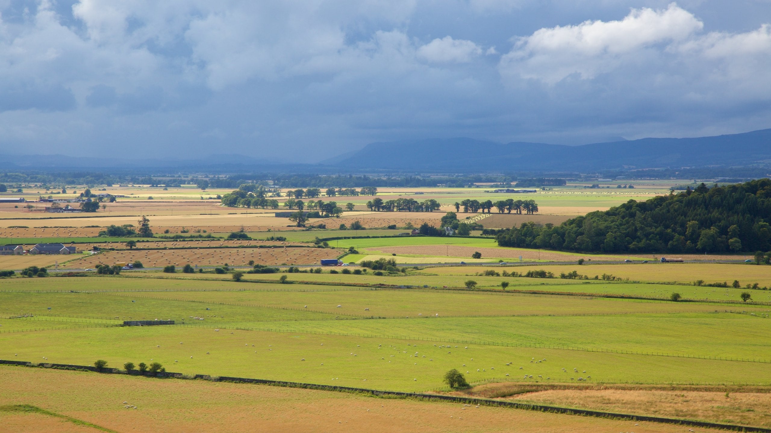 Stirling showing farmland