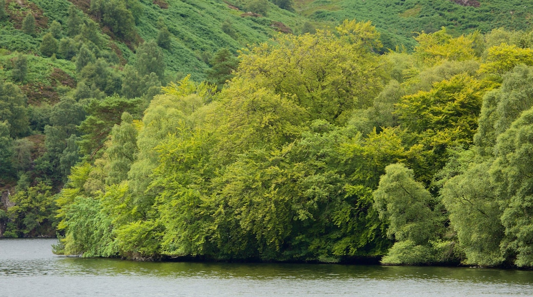 Loch Katrine som inkluderar skogar och en sjö eller ett vattenhål