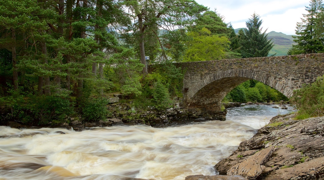 Waterval van Dochart bevat bos, een brug en stroomversnellingen