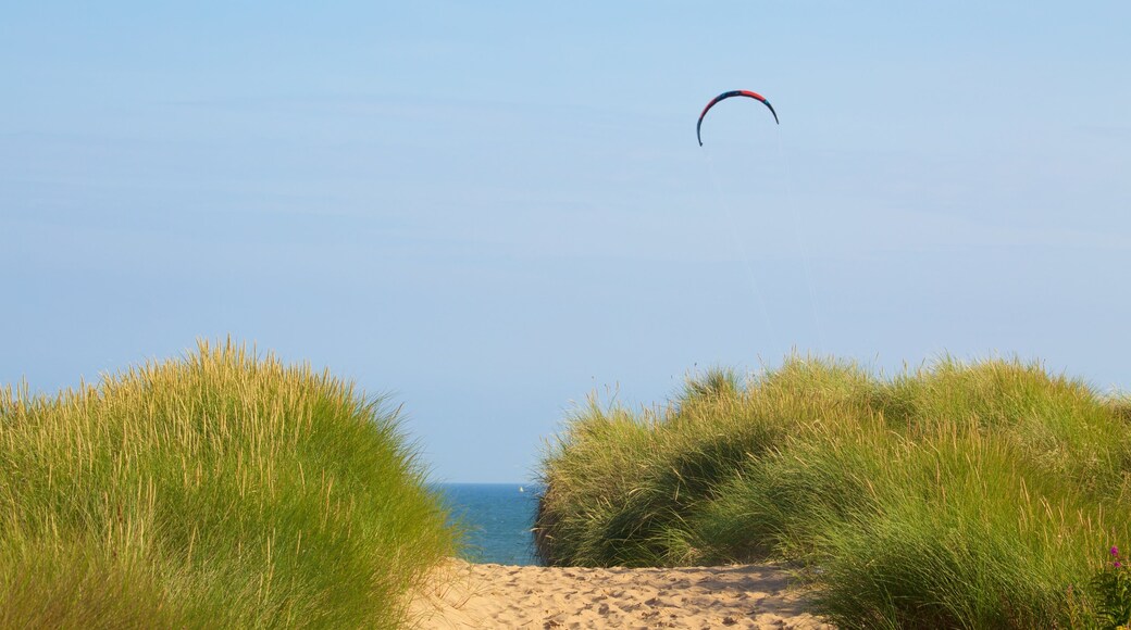 Balmedie Country Park mostrando uma praia de areia