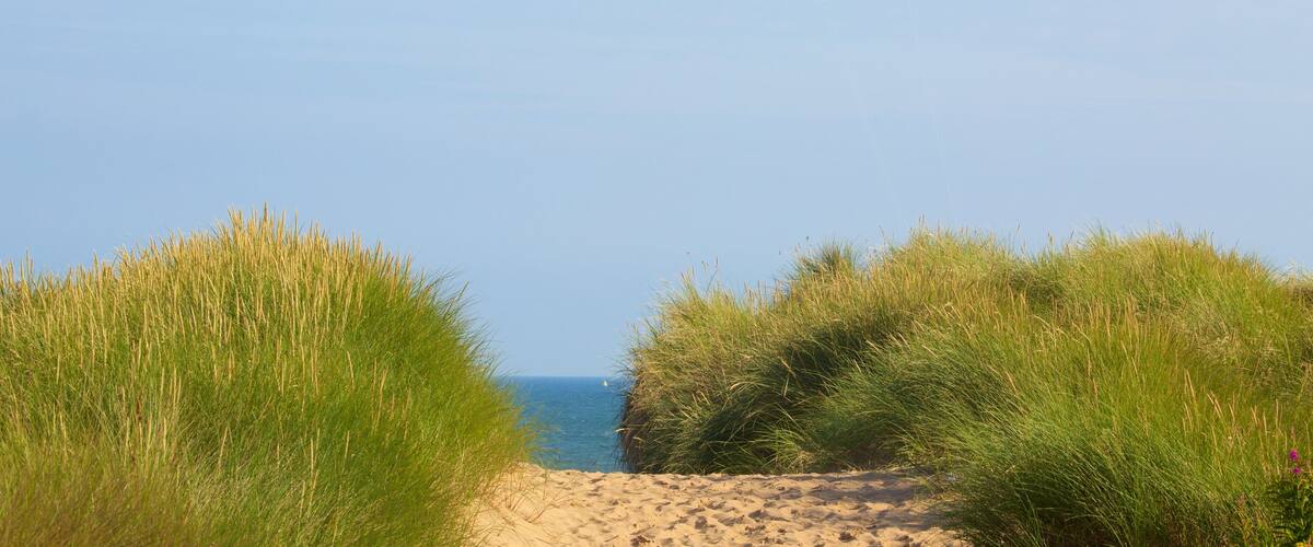 Balmedie Country Park mostrando uma praia de areia