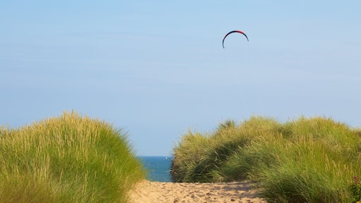 Balmedie Country Park que incluye una playa