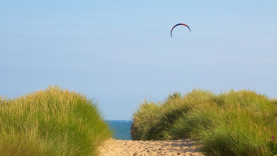 Balmedie Country Park showing a beach