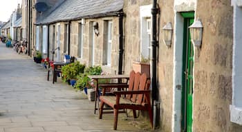 Aberdeen featuring street scenes