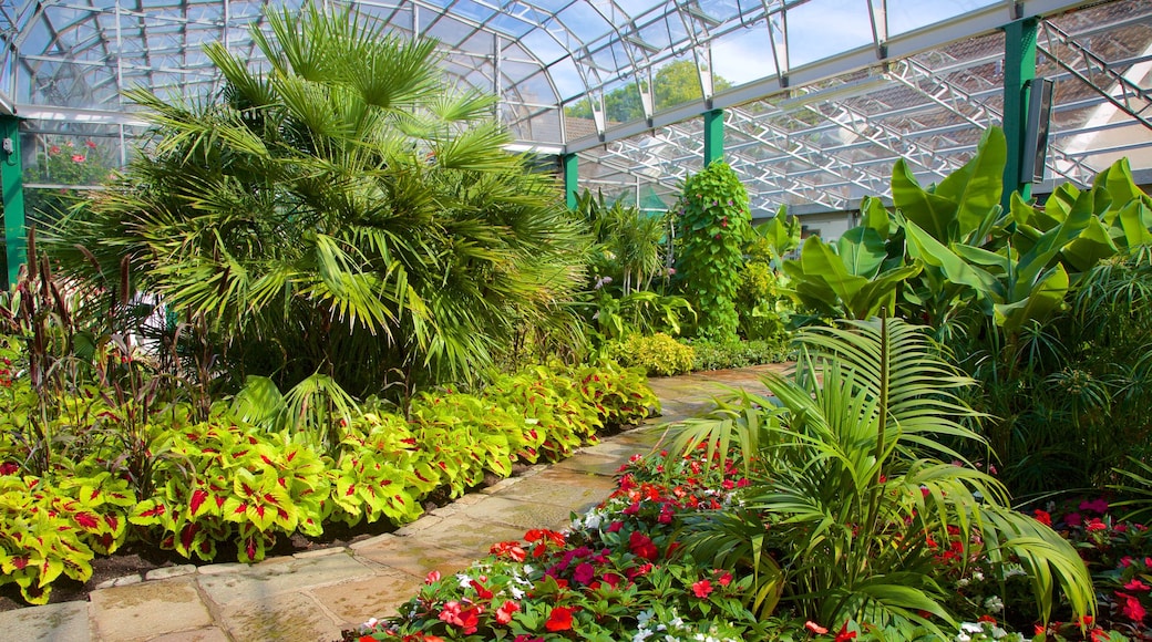 Duthie Park Winter Gardens showing interior views and a park