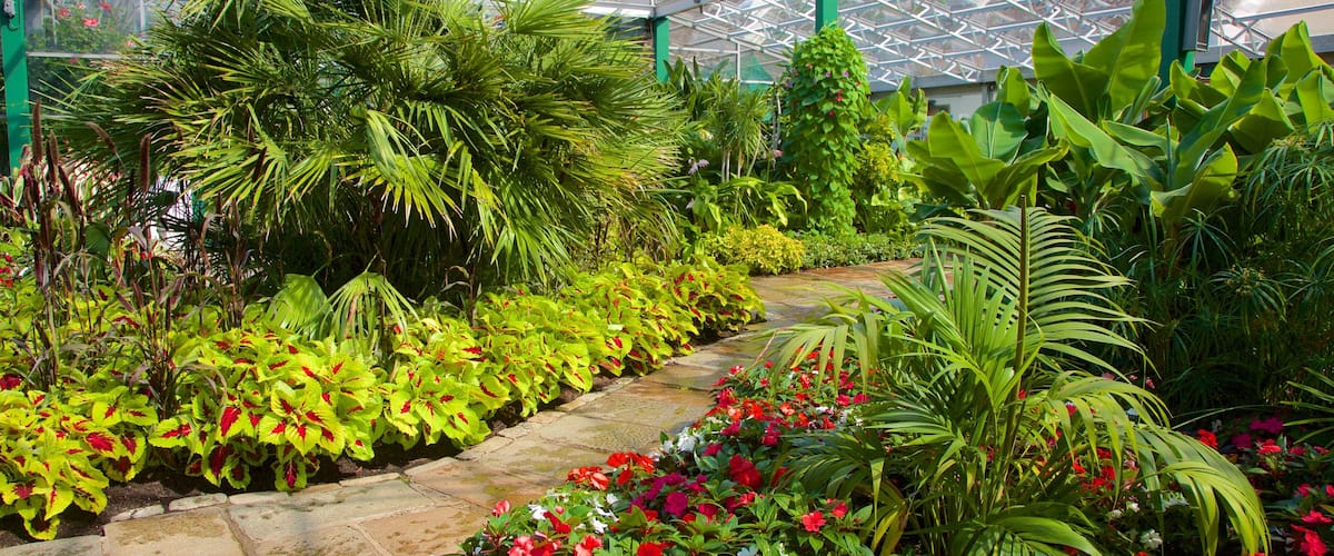 Duthie Park Winter Gardens which includes interior views and a garden