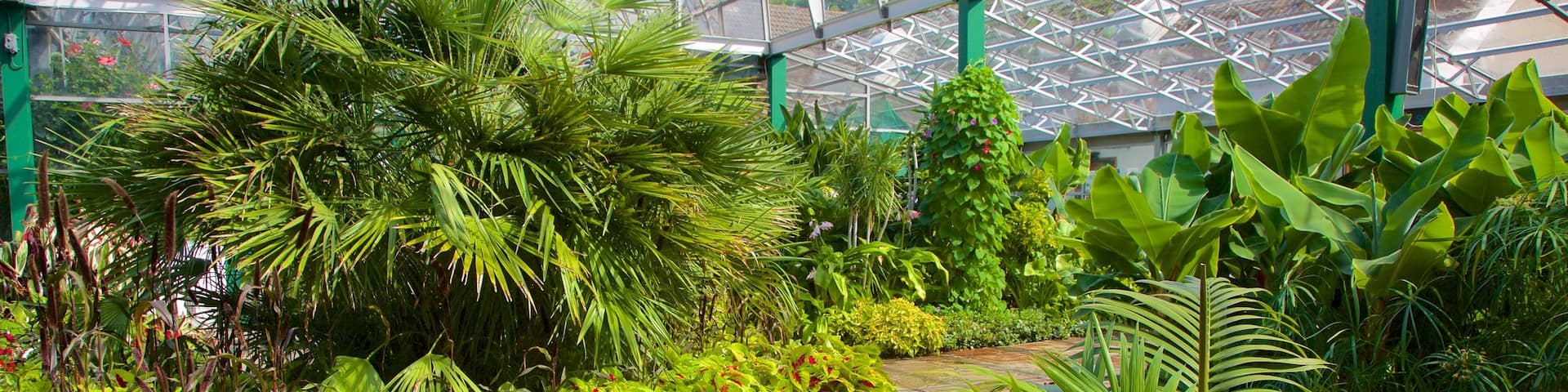 Duthie Park Winter Gardens which includes interior views and a garden