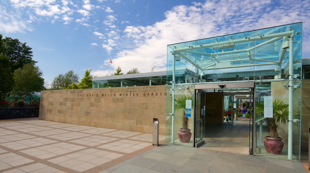 Duthie Park Winter Gardens