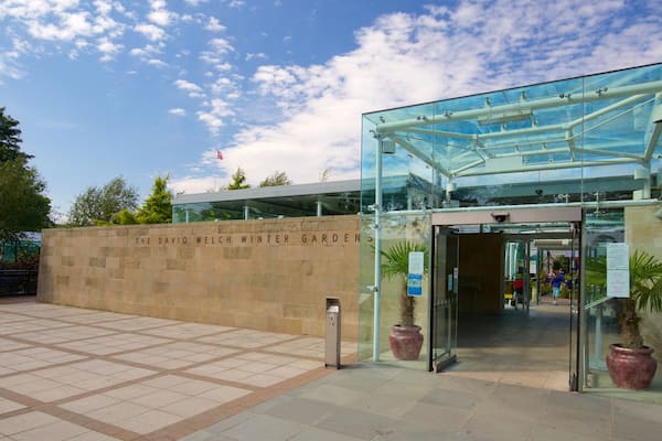 Duthie Park Winter Gardens mettant en vedette jardin