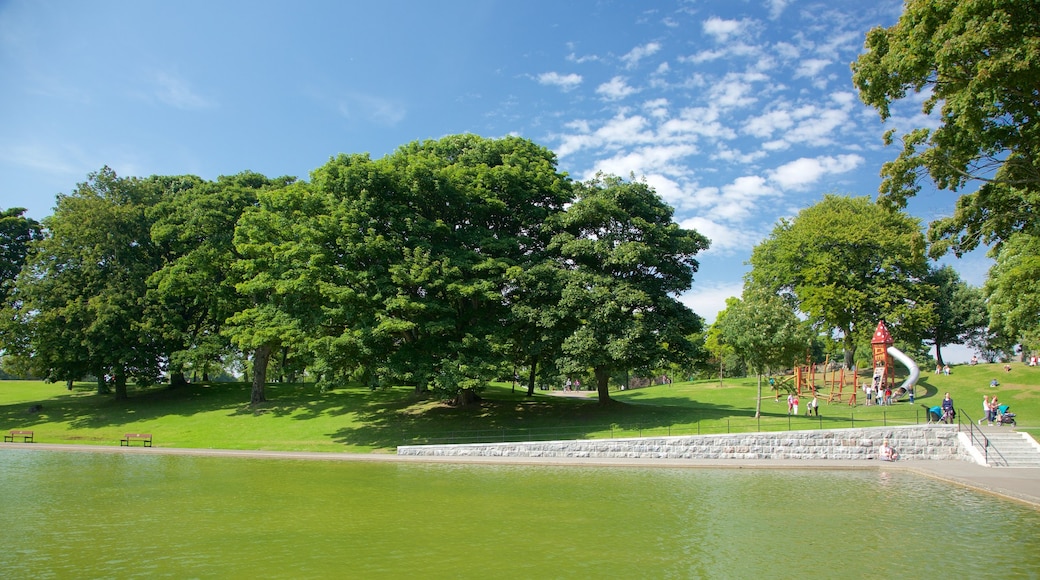 Duthie Park Winter Gardens featuring a river or creek and forests
