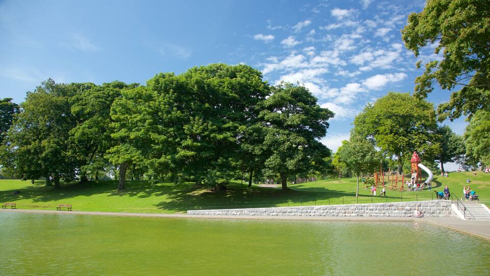 Wintertuinen Duthiepark bevat bos en een rivier of beek