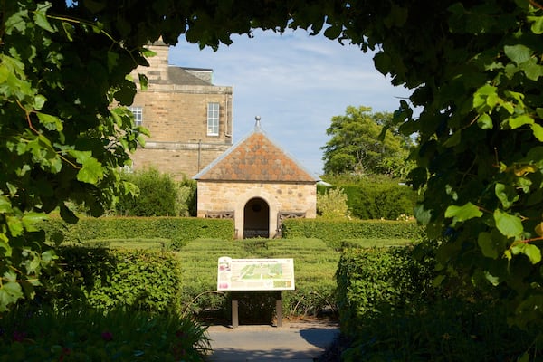 Royal Botanic Garden qui includes jardin
