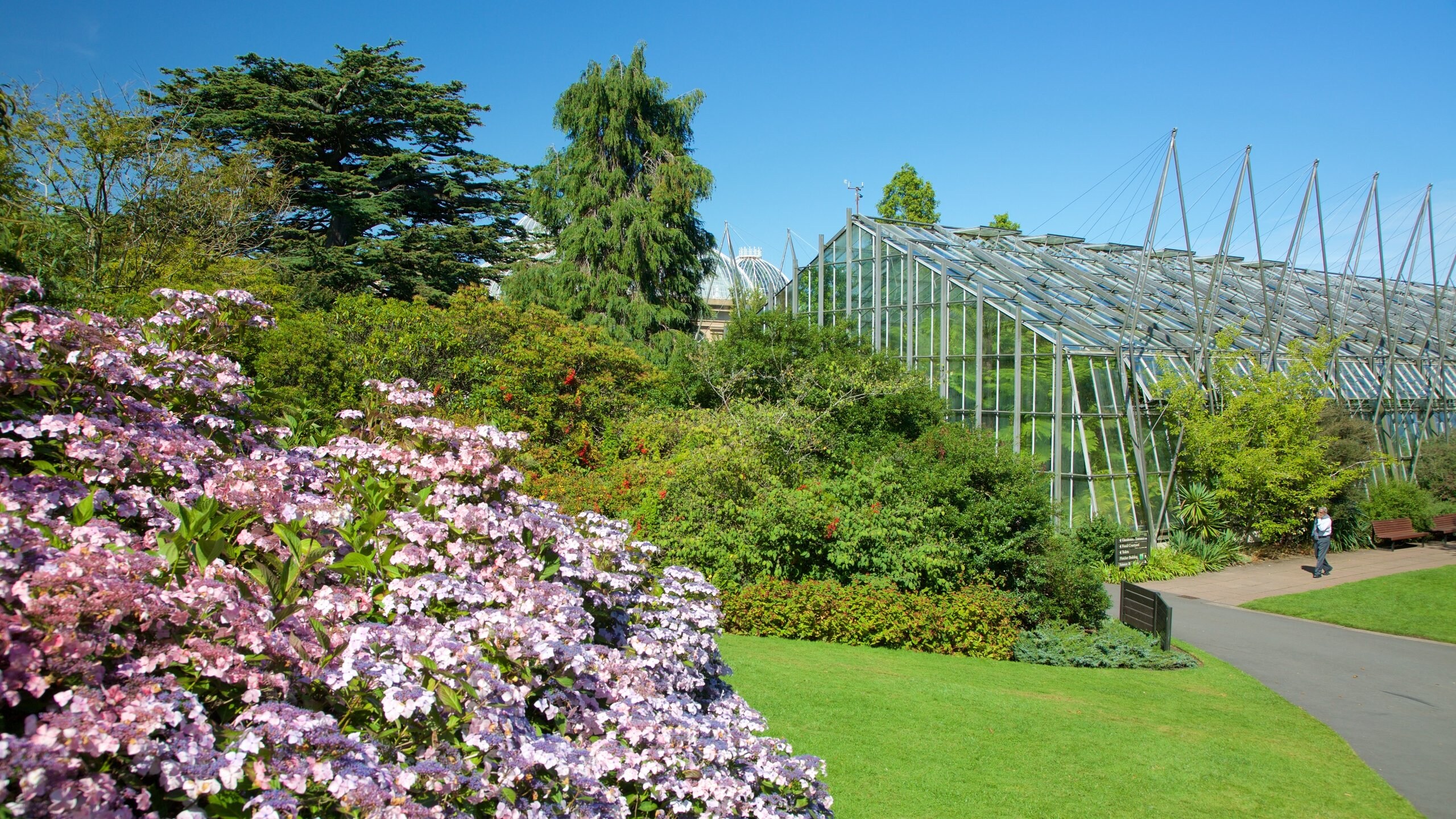 Inverleith, Edinburgh Vacation Rentals house rentals & more Vrbo