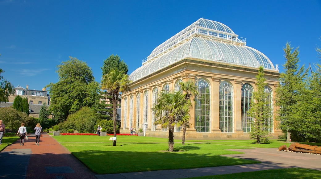 Real Jardín Botánico que incluye elementos patrimoniales y un jardín