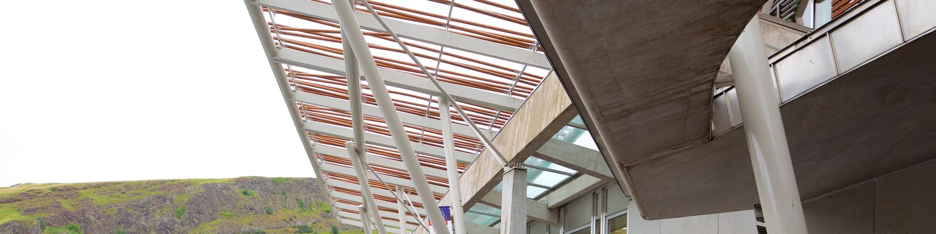 Scottish Parliament showing street scenes and a pool