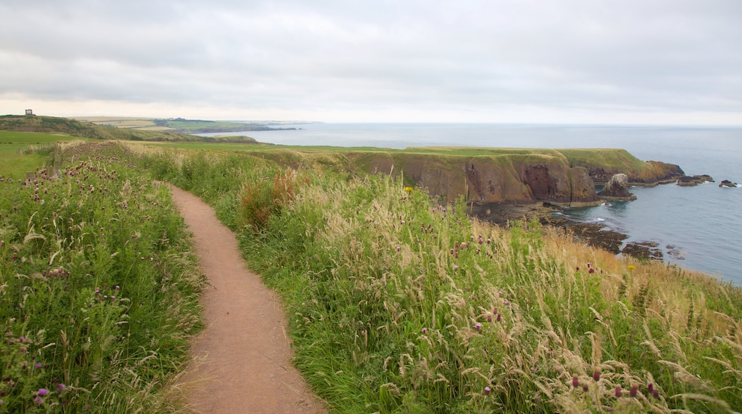 Dunnottar Castle