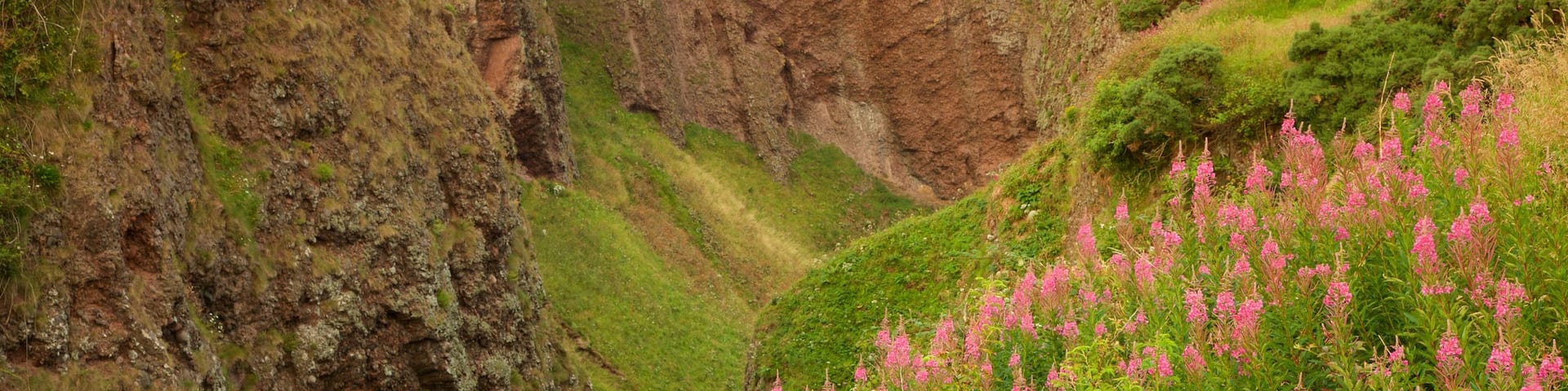 Dunnottar Castle das einen Schlucht oder Canyon und Farmland